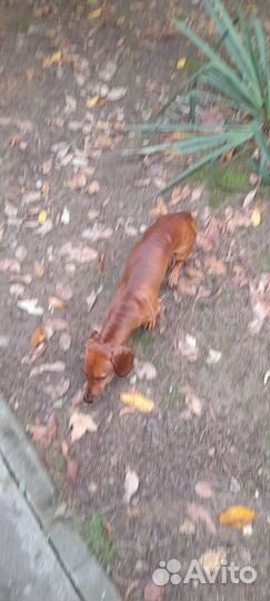 Вязка кабеля