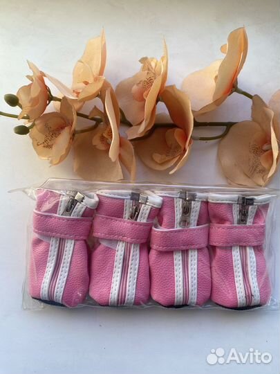 Обувь для собак