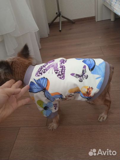 Одежда для собак и кошек