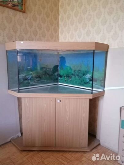 Аквариум