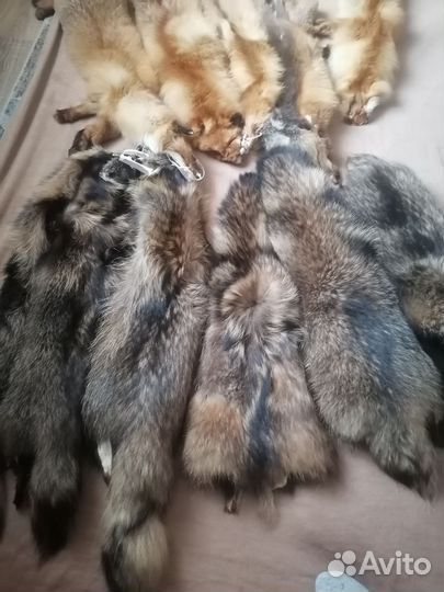 Шкуры лисы, енота с выделкой