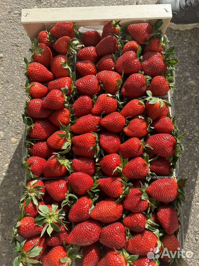 Клубника свежая