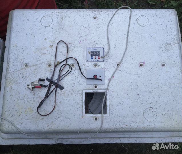 Инкубатор для яиц