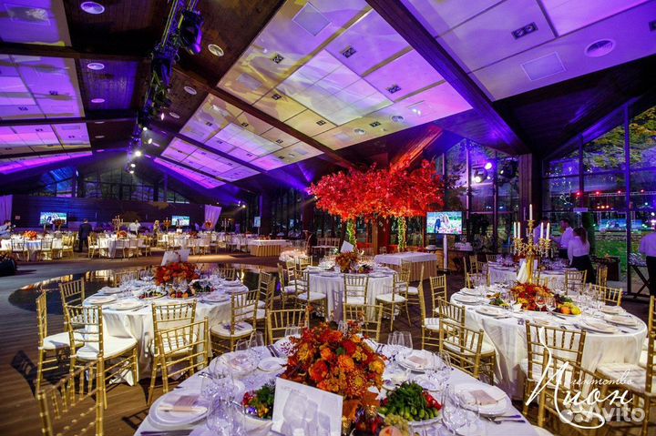 Свадебный организатор, координатор