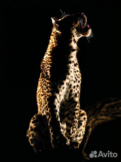 Картины модульные глянцевые в интерьер