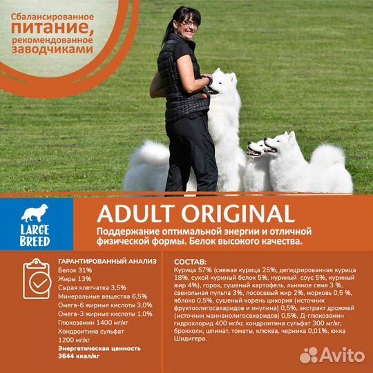 Wellness core из курицы для взрослых собак крупных