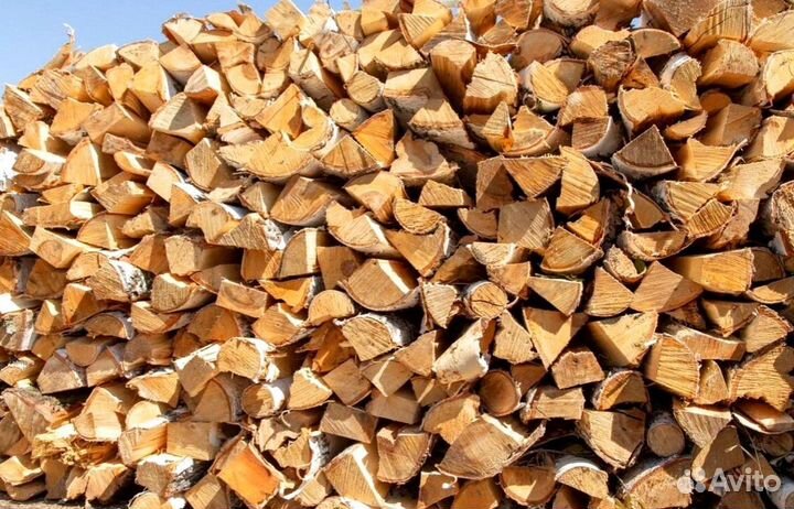 Дрова осинка