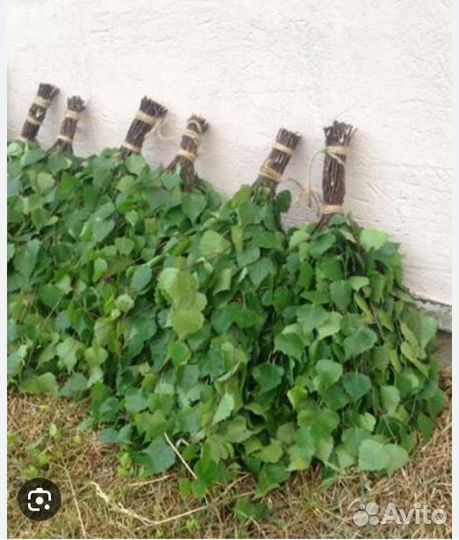 Веники для бани