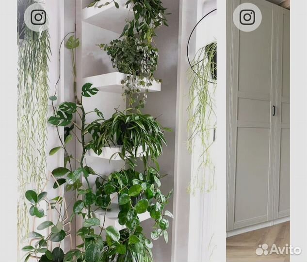 Полка IKEA lack