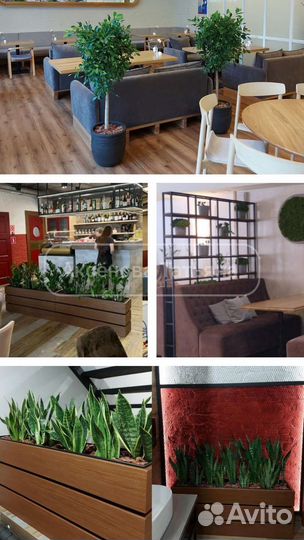 Фитодизайнер