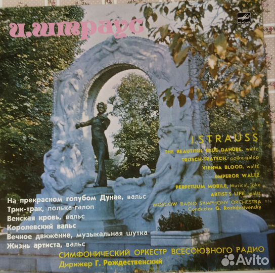 Виниловая пластинка