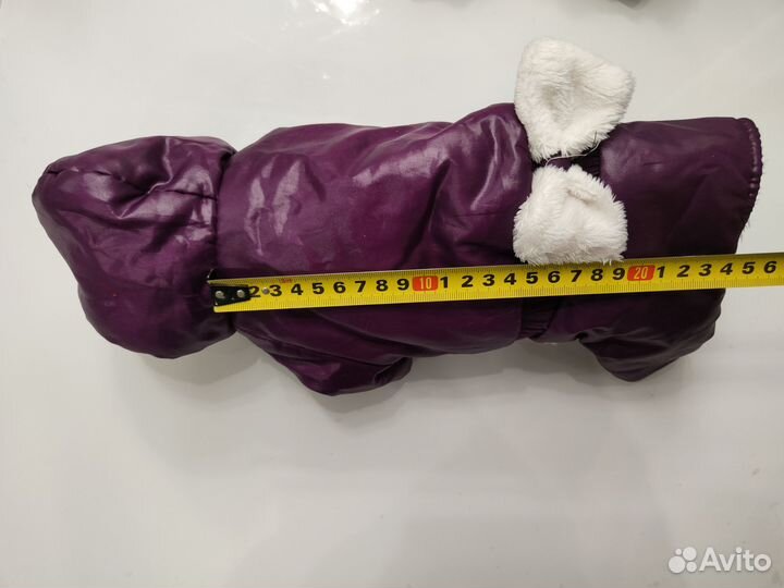 Одежда для маленьких собак