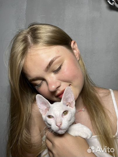 Брови, макияж