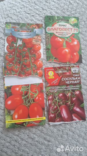 Рассада помидор и перцев, баклажан