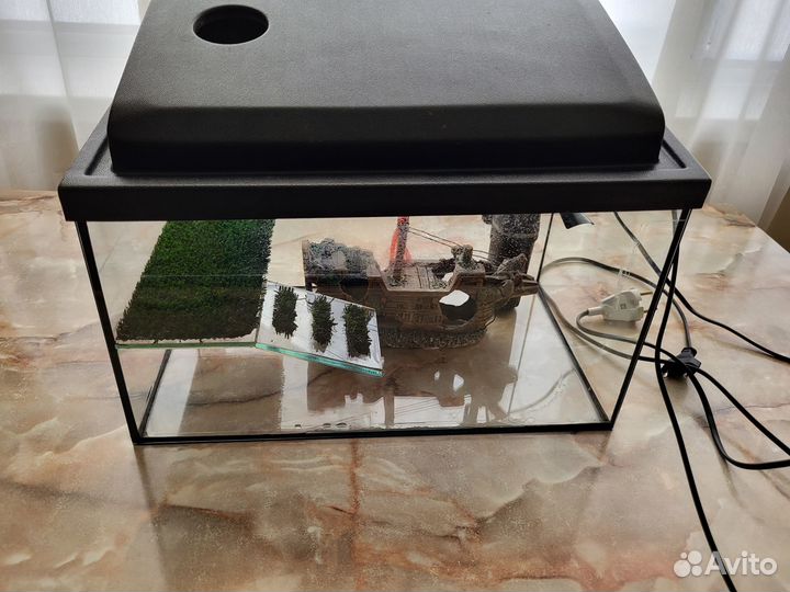 Аквариум