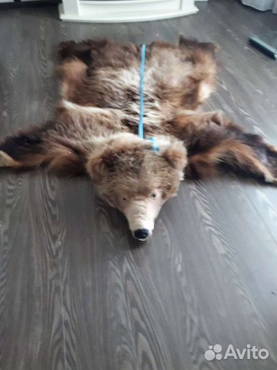 Шкура медведя