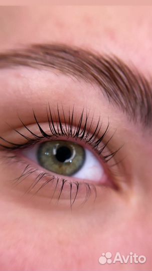 Ламинирование Ресниц с выездом на дом