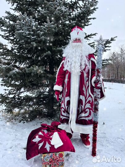 Дед Мороз и Снегурочка на дом