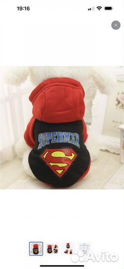 Одежда для собак