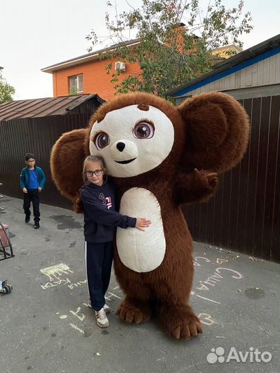 Чебурашка Поздравление. Аниматор на праздник
