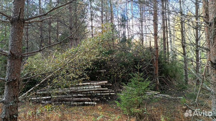 Дрова бесплатно самовывоздрова обрезки