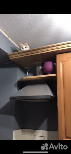 Купольная Вытяжка krona нержавеющая сталь