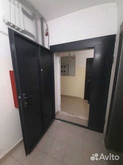 Тамбурная дверь