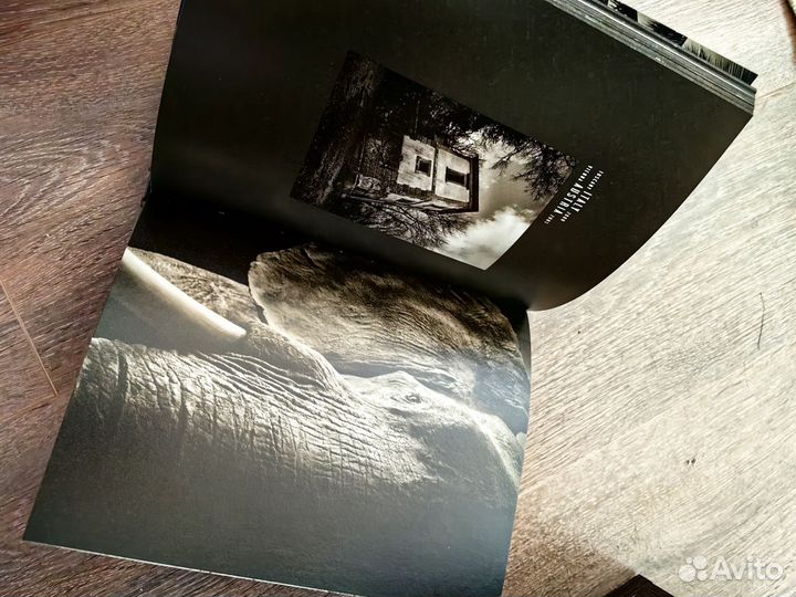 Travel Bitesnich Путешествия фото