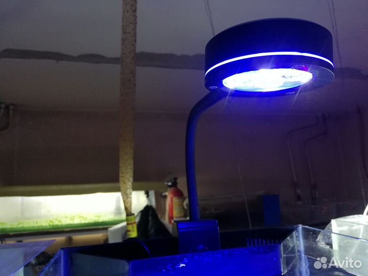 Морской аквариум (миник)