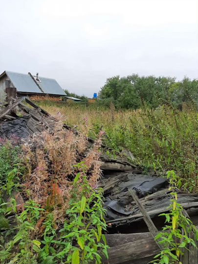 Участок 20 сот. (ИЖС)