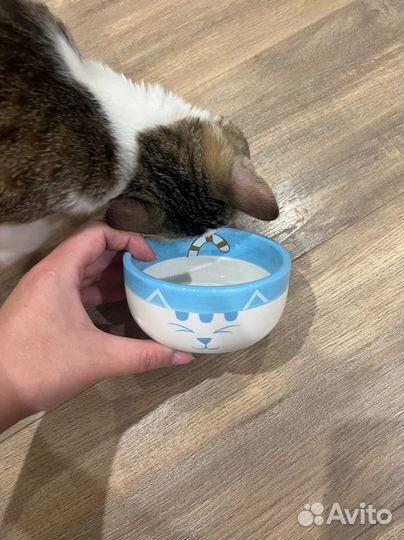 Миска для кошки