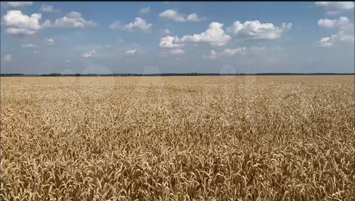 Участок 2500 га (СНТ, ДНП)