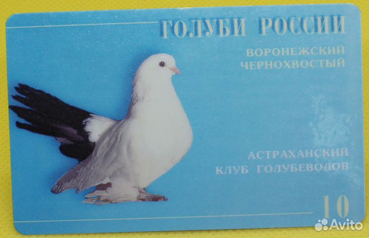 Телеф.карта Связьинформ Астраханской области 10 ед