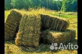 Сено в тюках