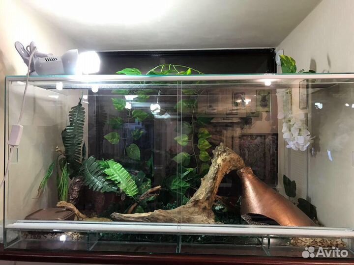 Террариум для рептилий