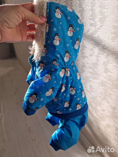 Комбенизон для маленькой собаки