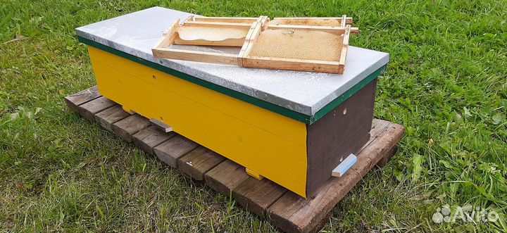 Нуклеусы деревянные