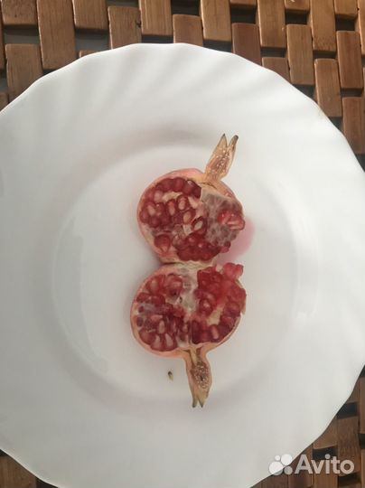 Гранат комнатный