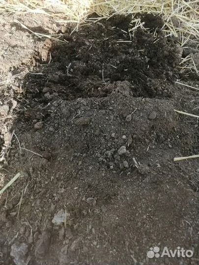 Чернозем,Навоз Крс,Перегной лежалый,Земля,от тонны