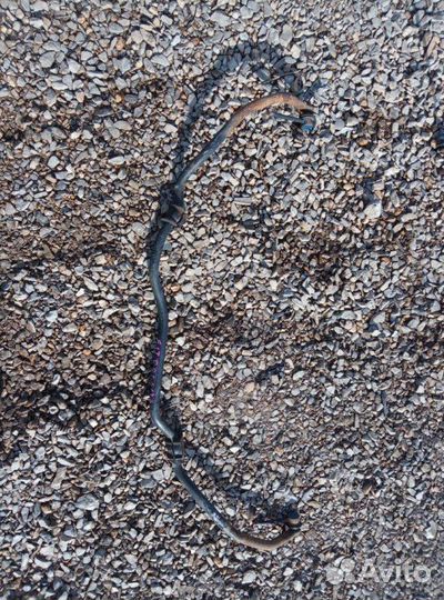 Стабилизатор передний Honda Fit GD1 L13A