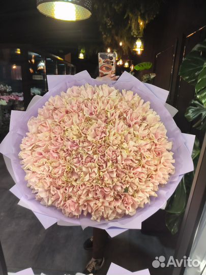 Роза нежная крупная