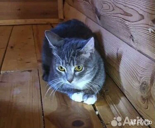 Зося нежность в белых носочках