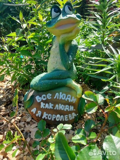 Лягушка большая