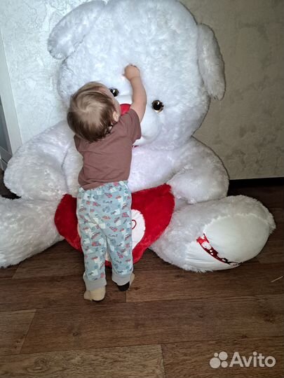 Большой белый медведь