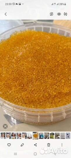 Икра щуки вылов май 2024г