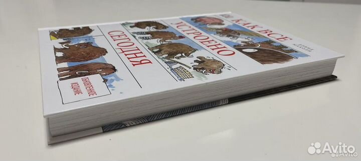 Как все устроено сегодня Маколи