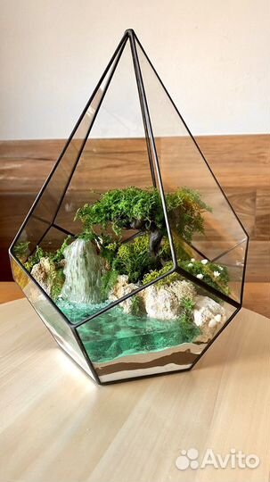 Моссариум - не требует ухода