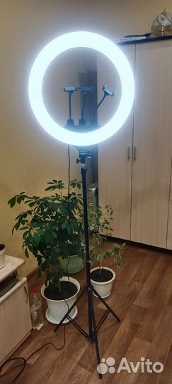 Продам световое кольцо,в подарок хромакей