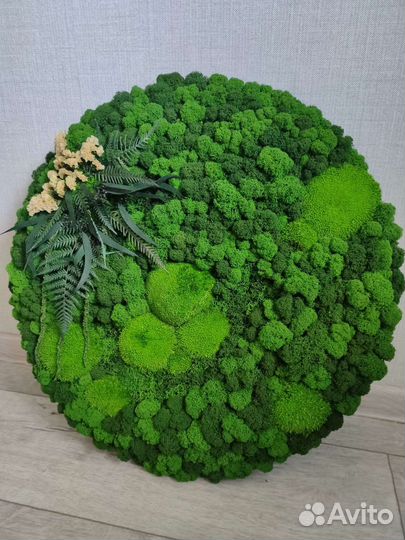 Картина из мха