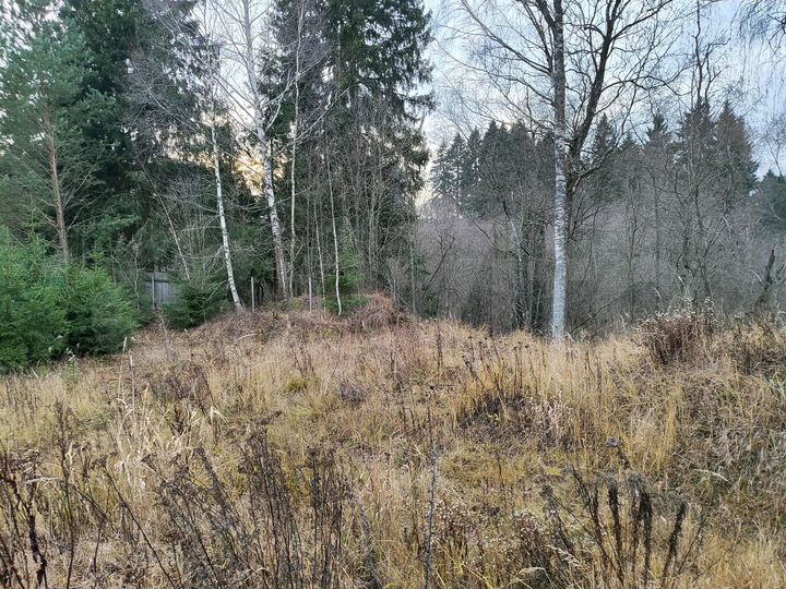 Участок 12 сот. (СНТ, ДНП)